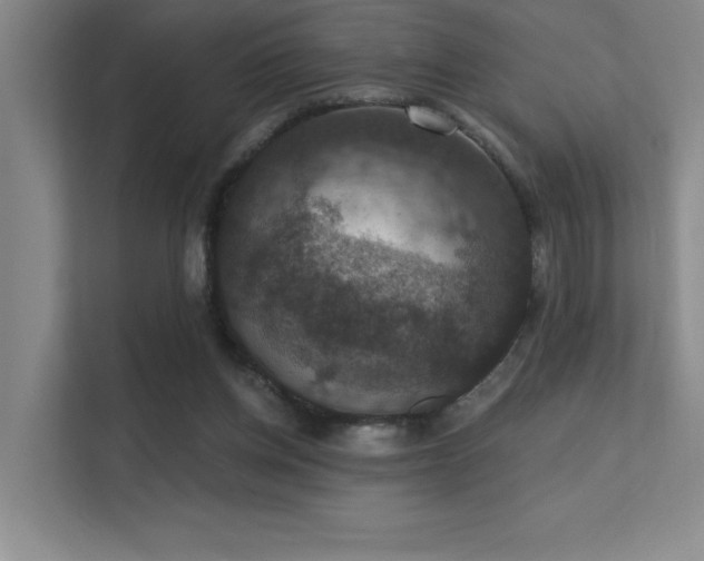 X0000112430158200908141438