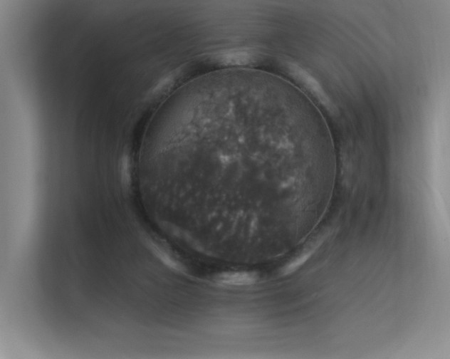 X0000112430161200908141438