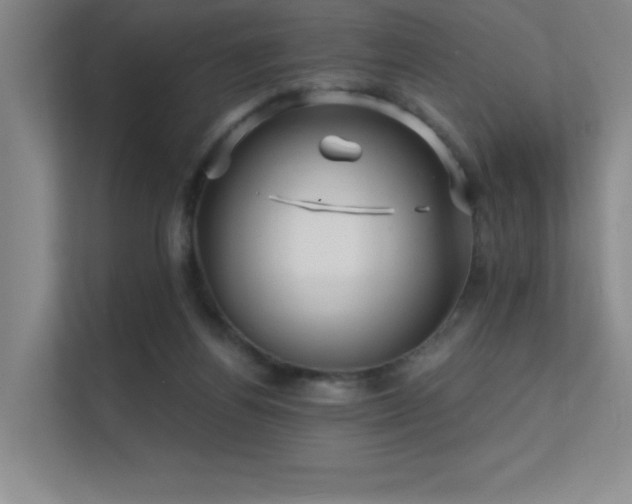 X0000112430164200908141438