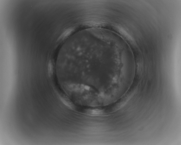 X0000112430165200908141438