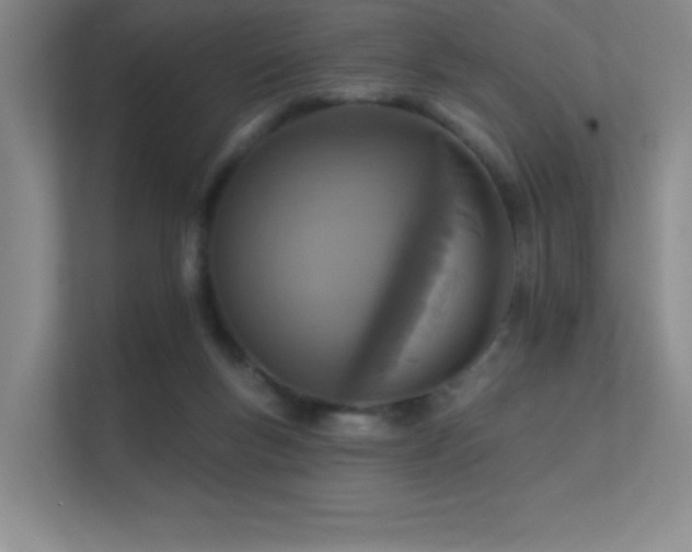 X0000112430167200908141438