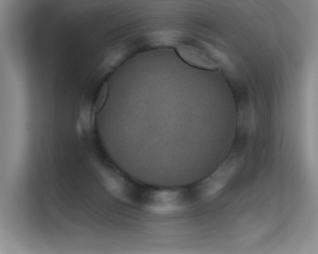 X0000112430168200908141438