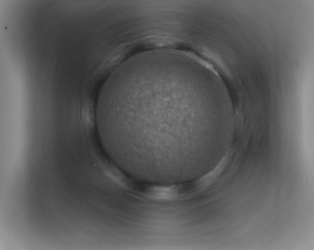 X0000112430170200908141438