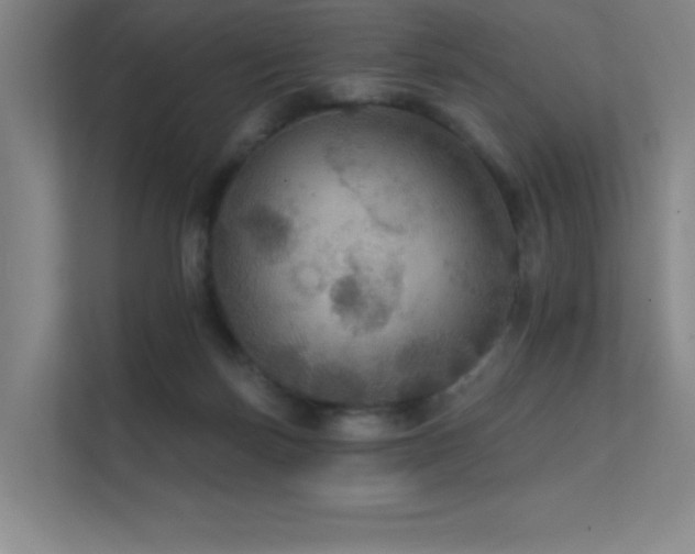 X0000112430171200908141438