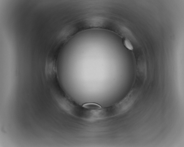 X0000112430172200908141438