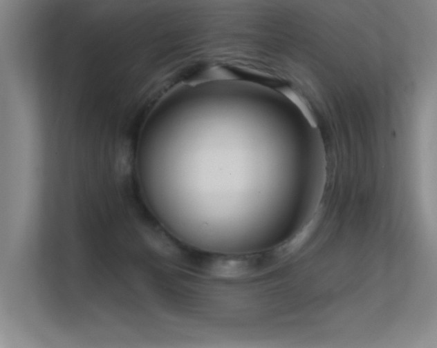 X0000112430174200908141438