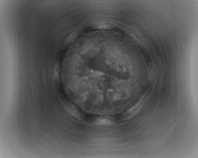 X0000112430175200908141438