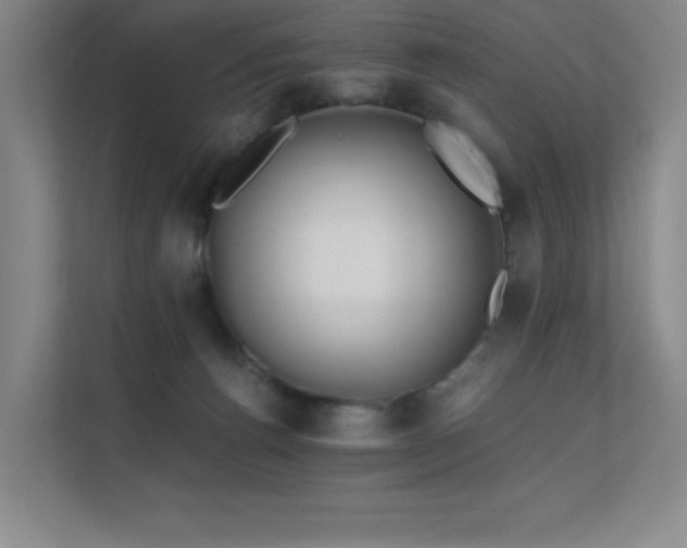 X0000112430176200908141438