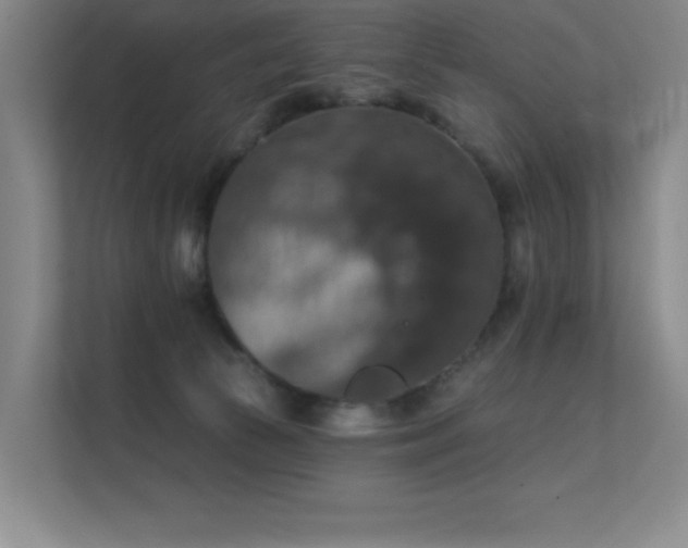 X0000112430177200908141438