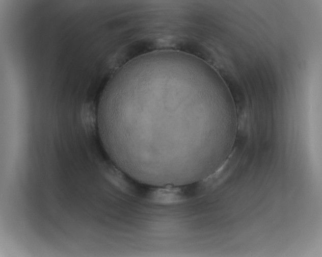 X0000112430179200908141438