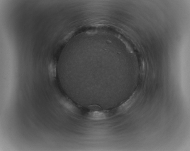 X0000112430180200908141438