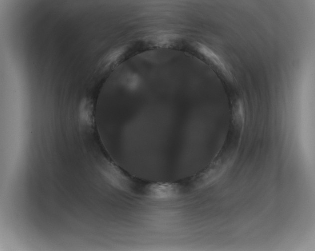 X0000112430181200908141438