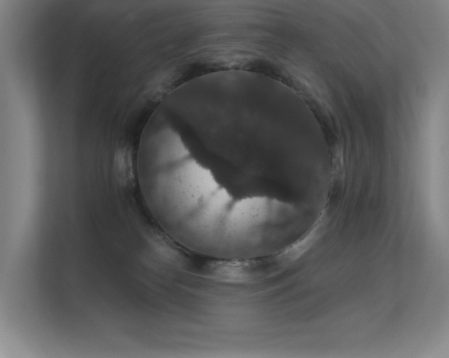 X0000112430182200908141438