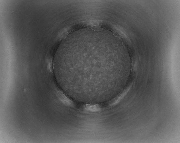 X0000112430185200908141438
