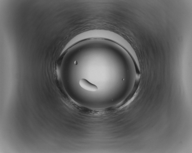 X0000112430186200908141438
