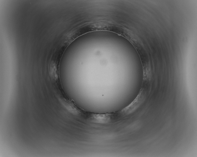 X0000112430187200908141438