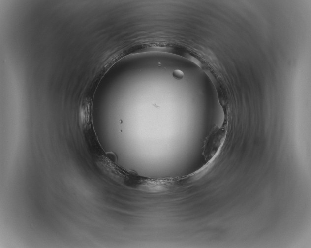 X0000112430190200908141438