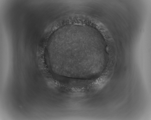 X0000112430192200908141438
