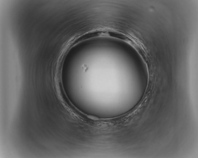 X0000112430193200908141438