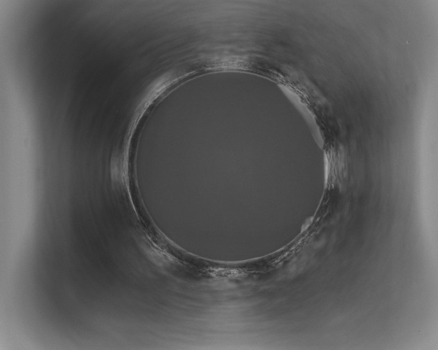X0000112430195200908141438