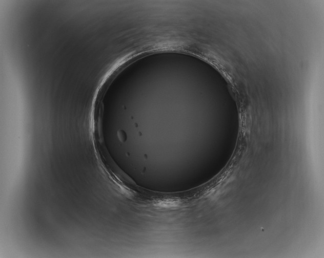 X0000112430196200908141438