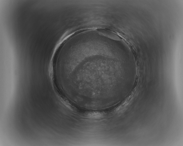 X0000112430198200908141438