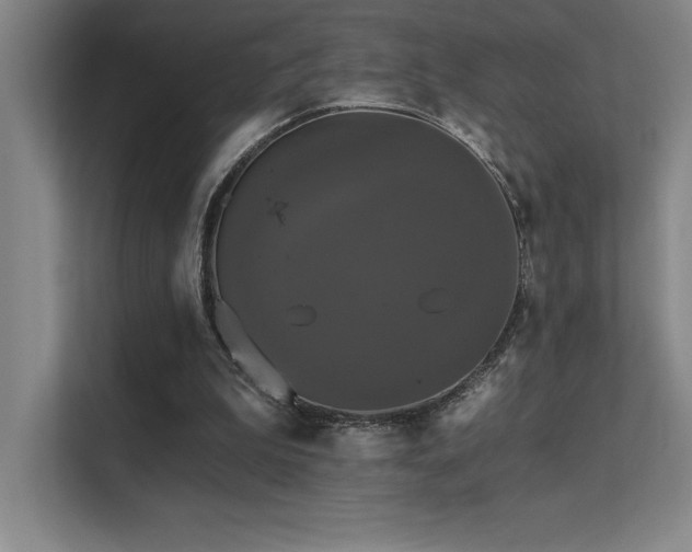 X0000112430199200908141438