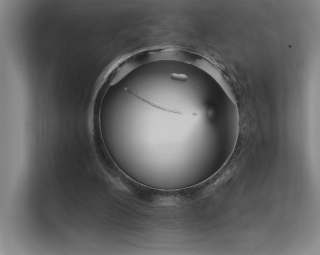 X0000112430200200908141438