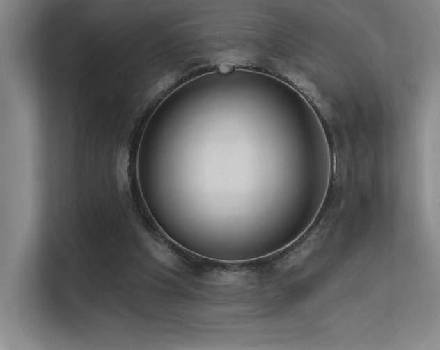 X0000112430201200908141437