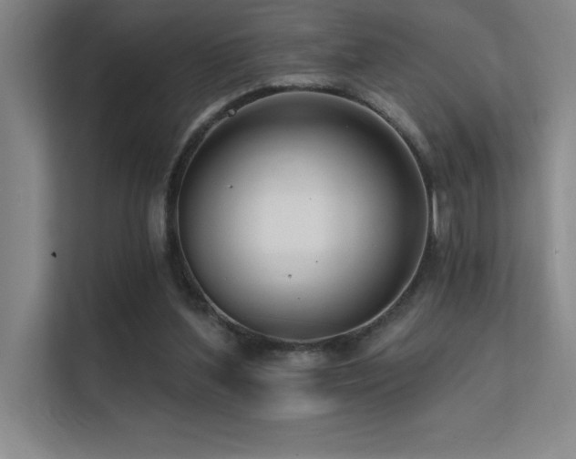 X0000112430204200908141437