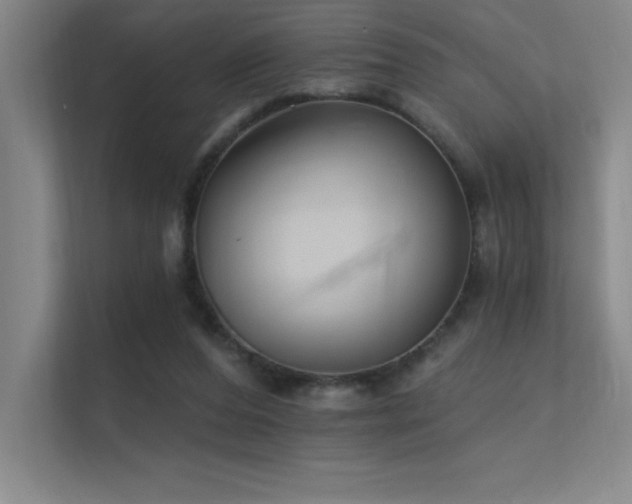 X0000112430208200908141437