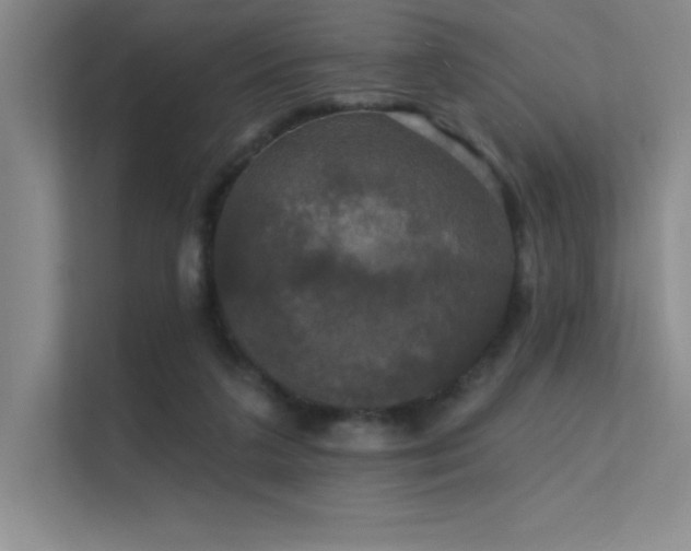 X0000112430211200908141437