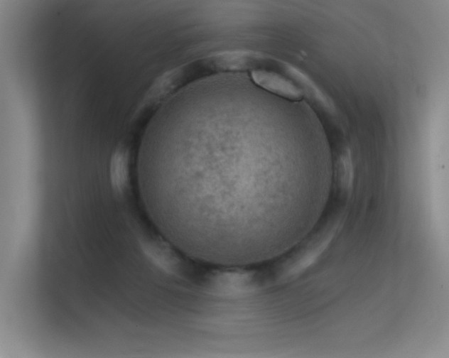 X0000112430217200908141437