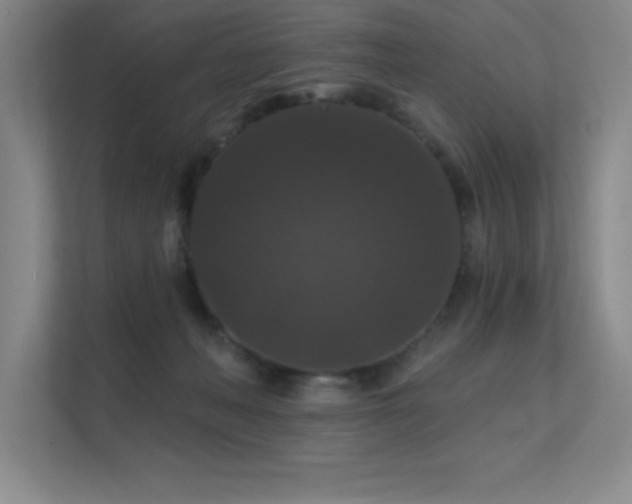 X0000112430222200908141437