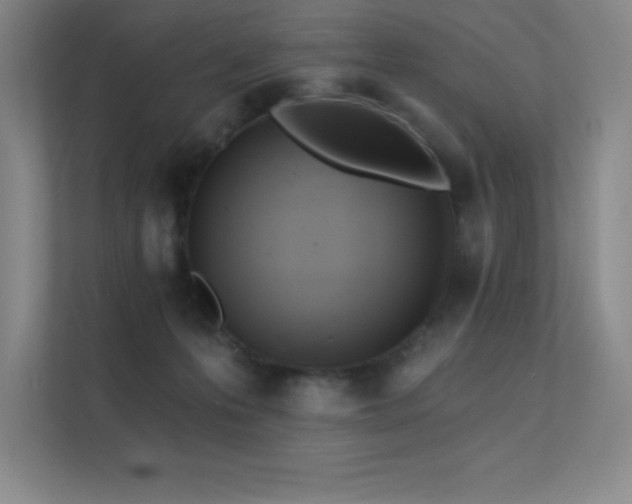 X0000112430223200908141437