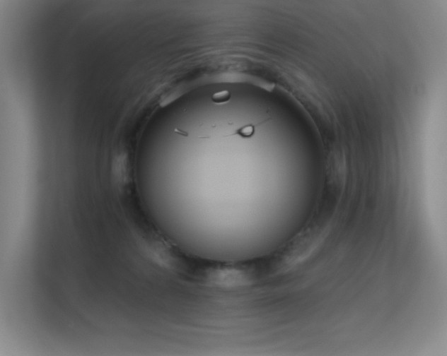 X0000112430224200908141437