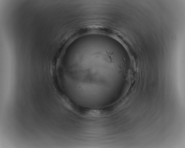 X0000112430227200908141437