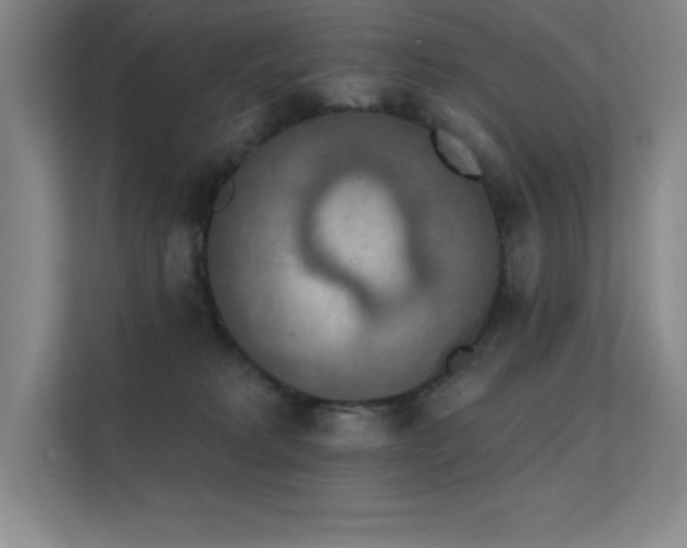 X0000112430229200908141437