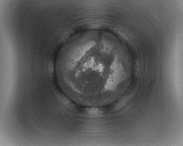 X0000112430230200908141437
