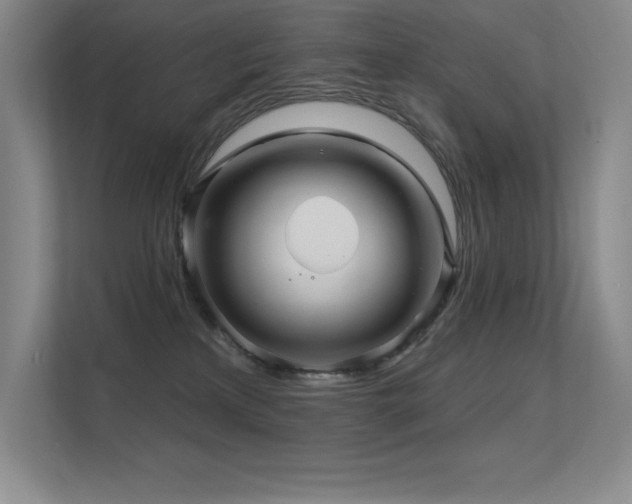 X0000112430233200908141437