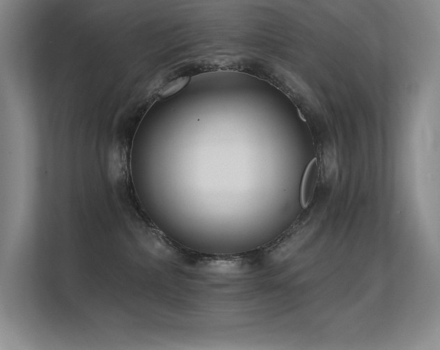 X0000112430236200908141437