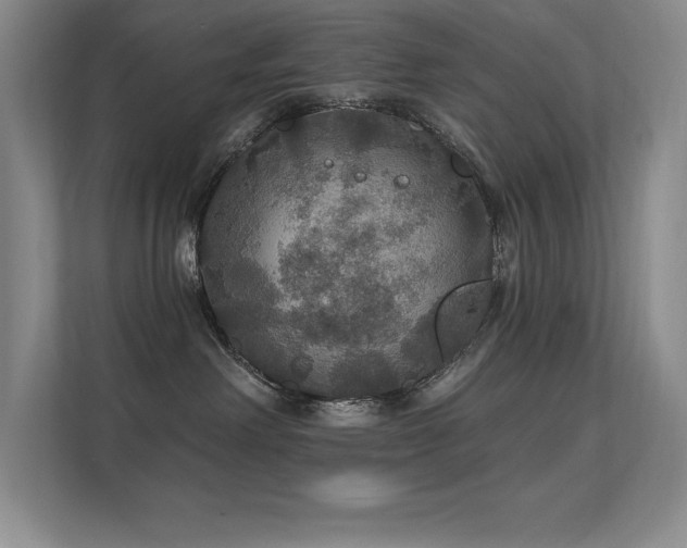 X0000112430238200908141437