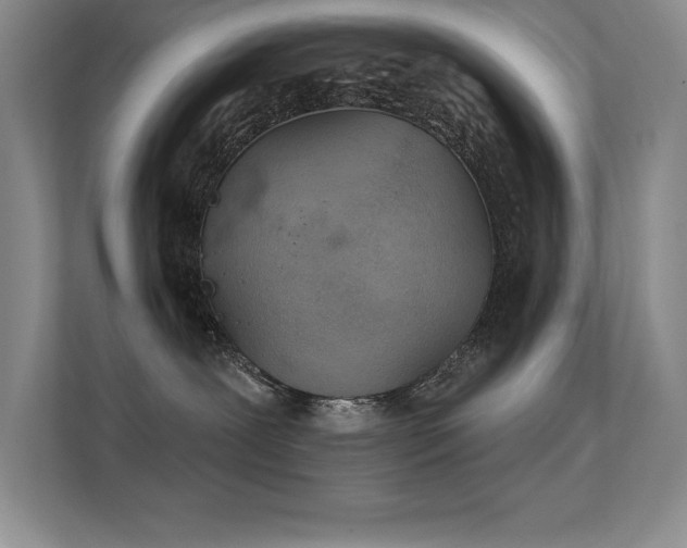 X0000112430239200908141437