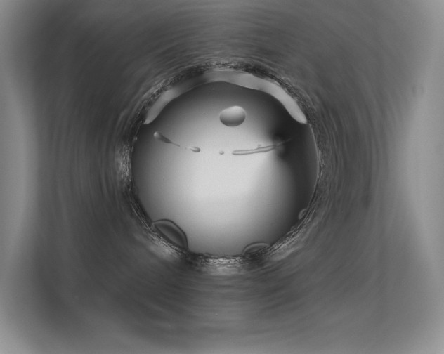 X0000112430240200908141437