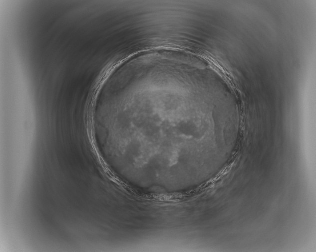 X0000112430241200908141436