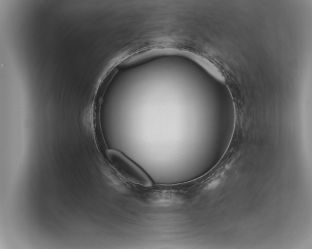 X0000112430244200908141436