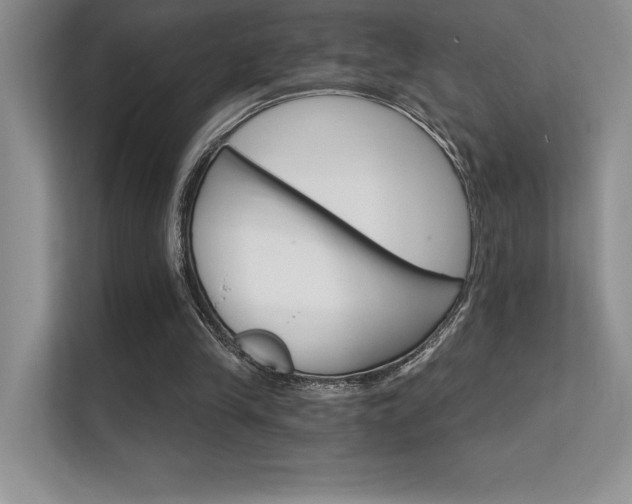 X0000112430245200908141436