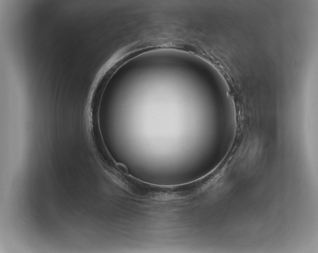 X0000112430246200908141436