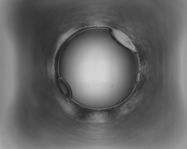 X0000112430248200908141436