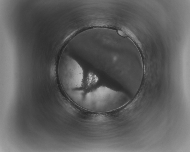X0000112430249200908141436
